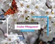 Frohe Pfingstfeiertage!