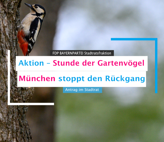 Aktion - Stunde der Gartenvögel München stoppt den Rückgang der Singvögel