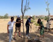 Bäume Planzen in Be'er Scheva