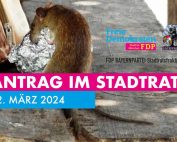 Für bessere Hygiene in der Stadt –Taubendreck und Rattenplage bekämpfen