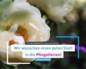 in die Pfingstferien!